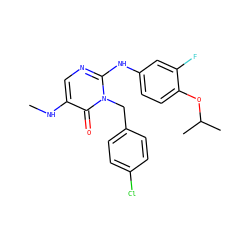 CNc1cnc(Nc2ccc(OC(C)C)c(F)c2)n(Cc2ccc(Cl)cc2)c1=O ZINC000204097924