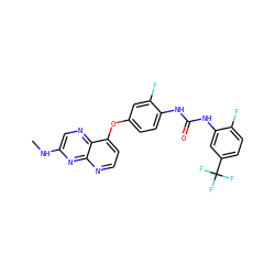 CNc1cnc2c(Oc3ccc(NC(=O)Nc4cc(C(F)(F)F)ccc4F)c(F)c3)ccnc2n1 ZINC000058538213