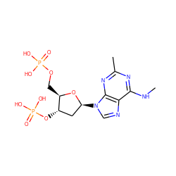 CNc1nc(C)nc2c1ncn2[C@H]1C[C@H](OP(=O)(O)O)[C@@H](COP(=O)(O)O)O1 ZINC000028021620