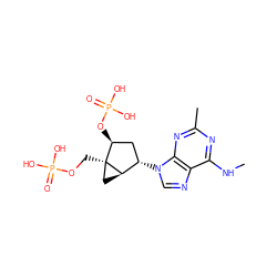 CNc1nc(C)nc2c1ncn2[C@H]1C[C@H](OP(=O)(O)O)[C@]2(COP(=O)(O)O)C[C@H]12 ZINC000013528982
