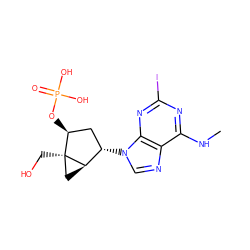 CNc1nc(I)nc2c1ncn2[C@H]1C[C@H](OP(=O)(O)O)[C@]2(CO)C[C@H]12 ZINC000028701622