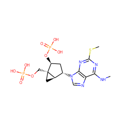 CNc1nc(SC)nc2c1ncn2[C@H]1C[C@H](OP(=O)(O)O)[C@]2(COP(=O)(O)O)C[C@H]12 ZINC000013528979