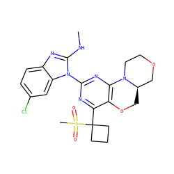 CNc1nc2ccc(Cl)cc2n1-c1nc2c(c(C3(S(C)(=O)=O)CCC3)n1)OC[C@@H]1COCCN21 ZINC000218271951