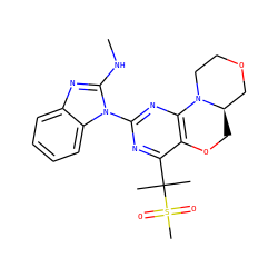 CNc1nc2ccccc2n1-c1nc2c(c(C(C)(C)S(C)(=O)=O)n1)OC[C@@H]1COCCN21 ZINC000218118747