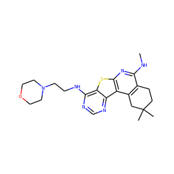 CNc1nc2sc3c(NCCN4CCOCC4)ncnc3c2c2c1CCC(C)(C)C2 ZINC000064539968