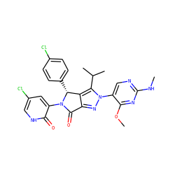 CNc1ncc(-n2nc3c(c2C(C)C)[C@@H](c2ccc(Cl)cc2)N(c2cc(Cl)c[nH]c2=O)C3=O)c(OC)n1 ZINC000224130758