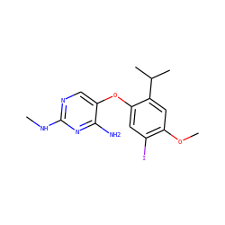 CNc1ncc(Oc2cc(I)c(OC)cc2C(C)C)c(N)n1 ZINC000040828471