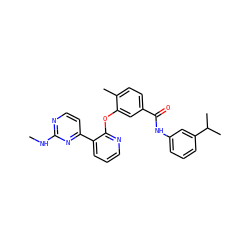 CNc1nccc(-c2cccnc2Oc2cc(C(=O)Nc3cccc(C(C)C)c3)ccc2C)n1 ZINC000028896866