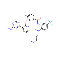 CNc1ncnc(-c2cccnc2Oc2cc(C(=O)Nc3cc(C(F)(F)F)ccc3N(C)CCCN(C)C)ccc2C)n1 ZINC000014957302
