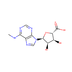 CNc1ncnc2c1ncn2[C@H]1O[C@H](C(=O)O)[C@@H](O)[C@H]1O ZINC000048998355