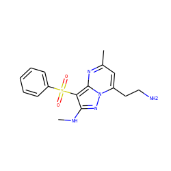 CNc1nn2c(CCN)cc(C)nc2c1S(=O)(=O)c1ccccc1 ZINC000073159511