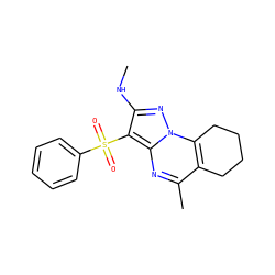 CNc1nn2c3c(c(C)nc2c1S(=O)(=O)c1ccccc1)CCCC3 ZINC000049047851