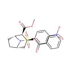 COC(=O)[C@H]1[C@@H](OC(=O)c2ccccc2)C[C@@H]2CC[C@H]1N2S(=O)(=O)c1ccc([N+](=O)[O-])cc1 ZINC000013738789