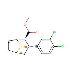COC(=O)[C@H]1[C@H](c2ccc(Cl)c(Cl)c2)C[C@@H]2CC[C@H]1[S@+]2[O-] ZINC000028644844