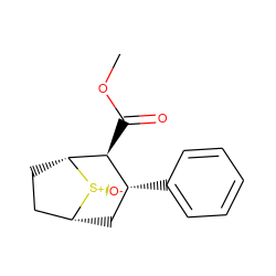COC(=O)[C@H]1[C@H](c2ccccc2)C[C@@H]2CC[C@H]1[S@+]2[O-] ZINC000028644734