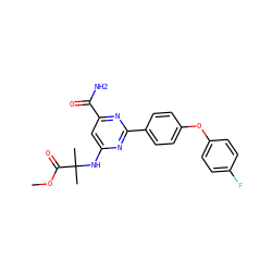 COC(=O)C(C)(C)Nc1cc(C(N)=O)nc(-c2ccc(Oc3ccc(F)cc3)cc2)n1 ZINC000142410773