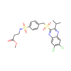 COC(=O)CCNS(=O)(=O)c1ccc(CS(=O)(=O)c2nc3cc(Cl)c(Cl)cc3nc2C(C)C)cc1 ZINC000028950903