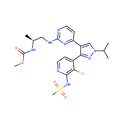 COC(=O)N[C@@H](C)CNc1nccc(-c2cn(C(C)C)nc2-c2ccnc(NS(C)(=O)=O)c2Cl)n1 ZINC000150174866