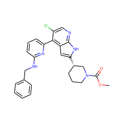 COC(=O)N1CCC[C@H](c2cc3c(-c4cccc(NCc5ccccc5)n4)c(Cl)cnc3[nH]2)C1 ZINC000226059394