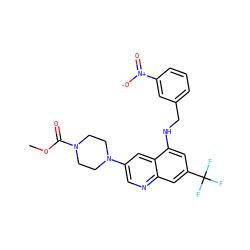 COC(=O)N1CCN(c2cnc3cc(C(F)(F)F)cc(NCc4cccc([N+](=O)[O-])c4)c3c2)CC1 ZINC000071329905