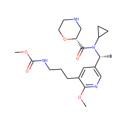 COC(=O)NCCCc1cc([C@@H](C)N(C(=O)[C@H]2CNCCO2)C2CC2)cnc1OC ZINC001772590419