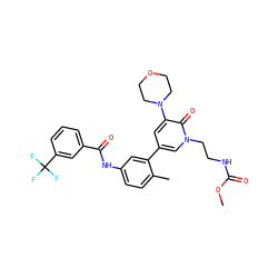 COC(=O)NCCn1cc(-c2cc(NC(=O)c3cccc(C(F)(F)F)c3)ccc2C)cc(N2CCOCC2)c1=O ZINC000220739608