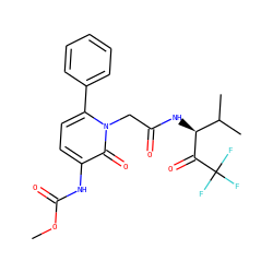 COC(=O)Nc1ccc(-c2ccccc2)n(CC(=O)N[C@H](C(=O)C(F)(F)F)C(C)C)c1=O ZINC000013738730