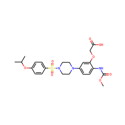 COC(=O)Nc1ccc(N2CCN(S(=O)(=O)c3ccc(OC(C)C)cc3)CC2)cc1OCC(=O)O ZINC001772629785