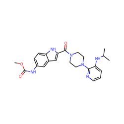 COC(=O)Nc1ccc2[nH]c(C(=O)N3CCN(c4ncccc4NC(C)C)CC3)cc2c1 ZINC000013827414