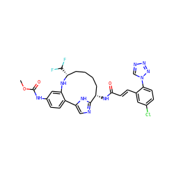 COC(=O)Nc1ccc2c(c1)N[C@H](C(F)F)CCCC[C@H](NC(=O)/C=C/c1cc(Cl)ccc1-n1cnnn1)c1ncc-2[nH]1 ZINC000230573418