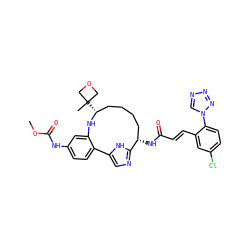 COC(=O)Nc1ccc2c(c1)N[C@H](C1(C)COC1)CCCC[C@H](NC(=O)/C=C/c1cc(Cl)ccc1-n1cnnn1)c1ncc-2[nH]1 ZINC000230573625