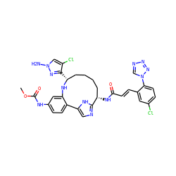 COC(=O)Nc1ccc2c(c1)N[C@H](c1nn(N)cc1Cl)CCCC[C@H](NC(=O)/C=C/c1cc(Cl)ccc1-n1cnnn1)c1ncc-2[nH]1 ZINC000230573571