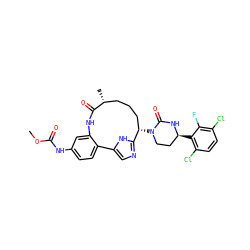 COC(=O)Nc1ccc2c(c1)NC(=O)[C@H](C)CCC[C@H](N1CC[C@H](c3c(Cl)ccc(Cl)c3F)NC1=O)c1ncc-2[nH]1 ZINC000205446489