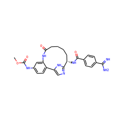 COC(=O)Nc1ccc2c(c1)NC(=O)CCCC[C@H](NC(=O)c1ccc(C(=N)N)cc1)c1ncc-2[nH]1 ZINC000230572772