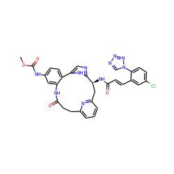 COC(=O)Nc1ccc2c(c1)NC(=O)CCc1cccc(n1)C[C@H](NC(=O)/C=C/c1cc(Cl)ccc1-n1cnnn1)c1ncc-2[nH]1 ZINC000222146923
