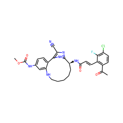 COC(=O)Nc1ccc2c(c1)NCCCCC[C@H](NC(=O)/C=C/c1c(C(C)=O)ccc(Cl)c1F)c1nc(C#N)c-2[nH]1 ZINC000230572628