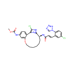 COC(=O)Nc1ccc2c(c1)OCCCCCC[C@H](NC(=O)/C=C/c1cc(Cl)ccc1-n1cnnn1)c1nc-2c(Cl)[nH]1 ZINC000114228775