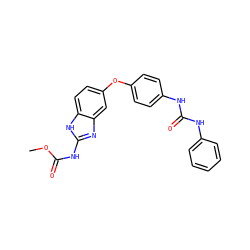 COC(=O)Nc1nc2cc(Oc3ccc(NC(=O)Nc4ccccc4)cc3)ccc2[nH]1 ZINC000014965477