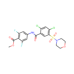 COC(=O)c1c(F)cc(NC(=O)c2cc(S(=O)(=O)N3CCOCC3)c(Cl)cc2Cl)cc1F ZINC001772597415