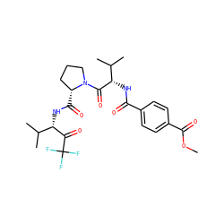 COC(=O)c1ccc(C(=O)N[C@H](C(=O)N2CCC[C@H]2C(=O)N[C@H](C(=O)C(F)(F)F)C(C)C)C(C)C)cc1 ZINC000013762582