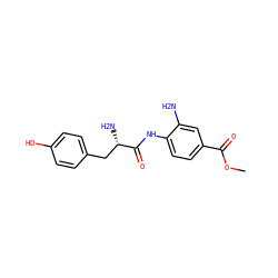 COC(=O)c1ccc(NC(=O)[C@@H](N)Cc2ccc(O)cc2)c(N)c1 ZINC000299859050