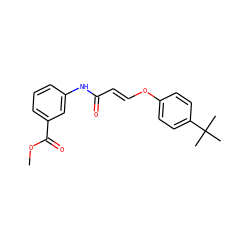 COC(=O)c1cccc(NC(=O)/C=C/Oc2ccc(C(C)(C)C)cc2)c1 ZINC000095580200