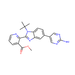COC(=O)c1cccnc1-c1nc2cc(-c3cnc(N)nc3)ccc2n1C(C)(C)C ZINC000169703412