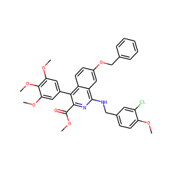 COC(=O)c1nc(NCc2ccc(OC)c(Cl)c2)c2cc(OCc3ccccc3)ccc2c1-c1cc(OC)c(OC)c(OC)c1 ZINC000299825514