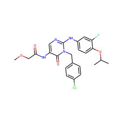 COCC(=O)Nc1cnc(Nc2ccc(OC(C)C)c(F)c2)n(Cc2ccc(Cl)cc2)c1=O ZINC000204095383