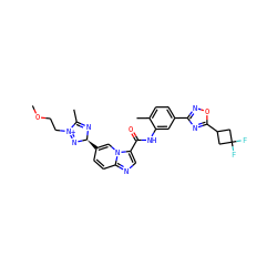 COCC[N+]1=N[C@H](c2ccc3ncc(C(=O)Nc4cc(-c5noc(C6CC(F)(F)C6)n5)ccc4C)n3c2)N=C1C ZINC001772655001