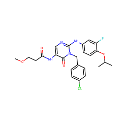 COCCC(=O)Nc1cnc(Nc2ccc(OC(C)C)c(F)c2)n(Cc2ccc(Cl)cc2)c1=O ZINC000204095311