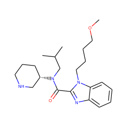 COCCCCn1c(C(=O)N(CC(C)C)[C@H]2CCCNC2)nc2ccccc21 ZINC000116132748