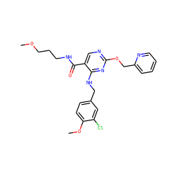 COCCCNC(=O)c1cnc(OCc2ccccn2)nc1NCc1ccc(OC)c(Cl)c1 ZINC000299841379