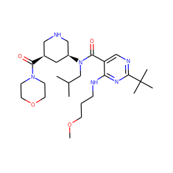 COCCCNc1nc(C(C)(C)C)ncc1C(=O)N(CC(C)C)[C@@H]1CNC[C@H](C(=O)N2CCOCC2)C1 ZINC000043205165